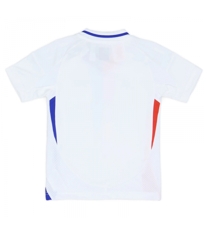 Ensemble Maillot Short Chaussettes OL Lyon Petit Enfant 2024/2025 Domicile