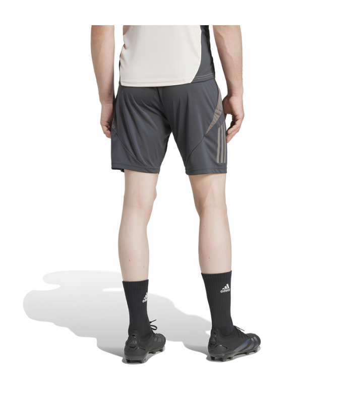 Ensemble Maillot Short Real Madrid 2024/2025 Entrainement Ligue Des Champions